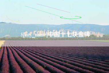 保亭中国十七块金牌