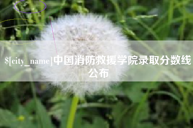 保亭中国消防救援学院录取分数线公布