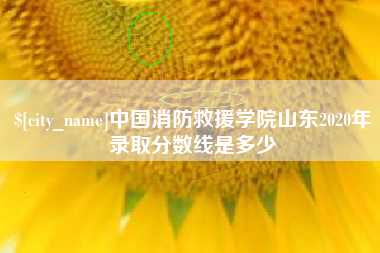 保亭中国消防救援学院山东2020年录取分数线是多少