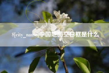 保亭中国地图空白框是什么