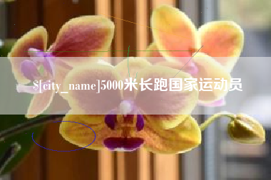 保亭5000米长跑国家运动员