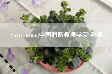 保亭中国消防救援学院 老师