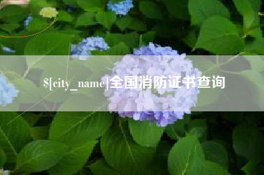 保亭全国消防证书查询
