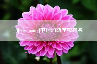 保亭中国消防学校排名