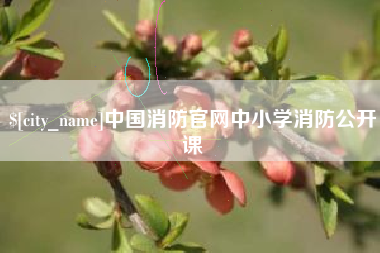 保亭中国消防官网中小学消防公开课