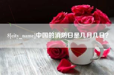 保亭中国的消防日是几月几日？
