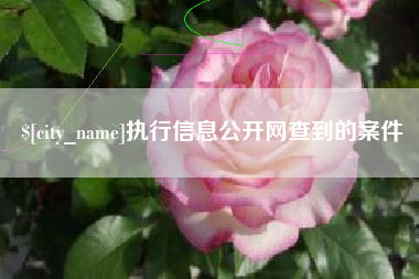保亭执行信息公开网查到的案件