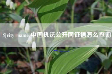 保亭中国执法公开网征信怎么查询
