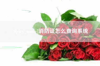 保亭消防证怎么查询系统