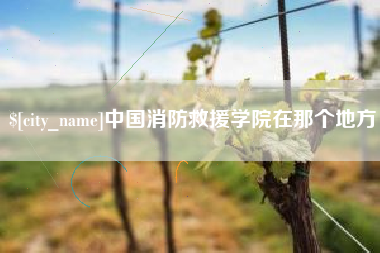 保亭中国消防救援学院在那个地方