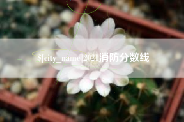 保亭2021消防分数线