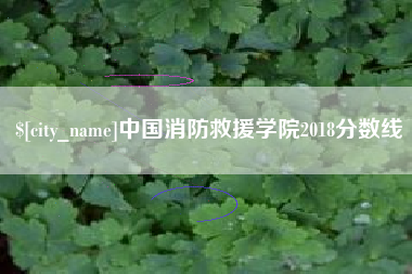 保亭中国消防救援学院2018分数线