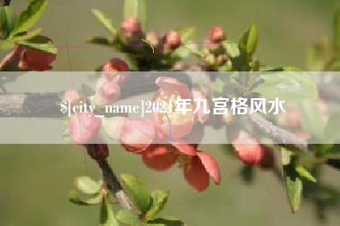 保亭2021年九宫格风水