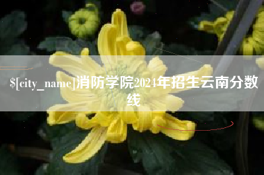 保亭消防学院2024年招生云南分数线