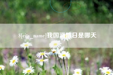 保亭我国消防日是哪天