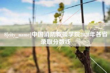 保亭中国消防救援学院2020年各省录取分数线