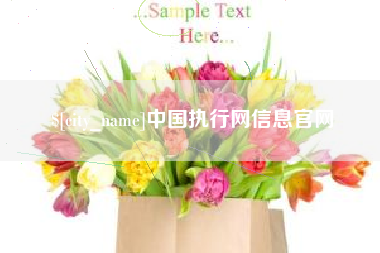 保亭中国执行网信息官网
