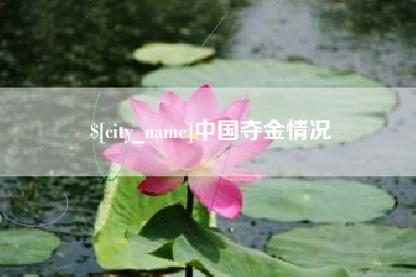 保亭中国夺金情况