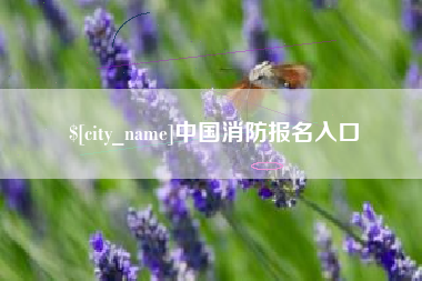 保亭中国消防报名入口