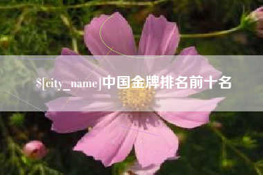 保亭中国金牌排名前十名