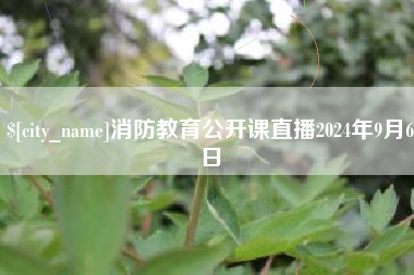 保亭消防教育公开课直播2024年9月6日