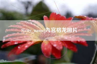保亭九宫格龙图片