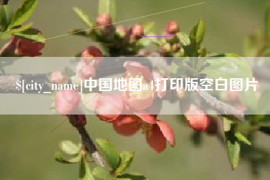 保亭中国地图a4打印版空白图片