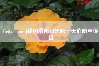 保亭我国消防日是哪一天消防宣传日