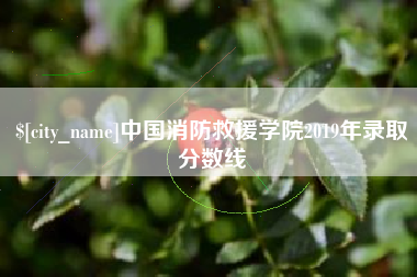 保亭中国消防救援学院2019年录取分数线