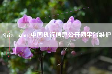 保亭中国执行信息公开网平台维护