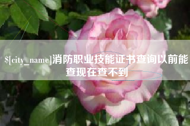 保亭消防职业技能证书查询以前能查现在查不到