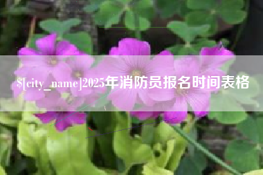 保亭2025年消防员报名时间表格