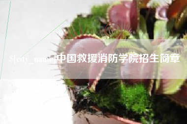 保亭中国救援消防学院招生简章