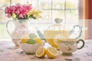 保亭中国消防救援学院分数2020