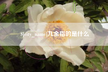 保亭九金指的是什么