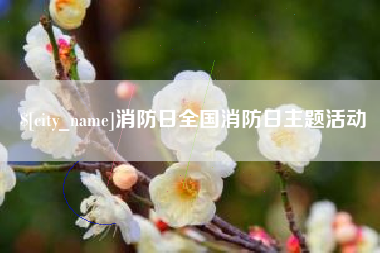 保亭消防日全国消防日主题活动