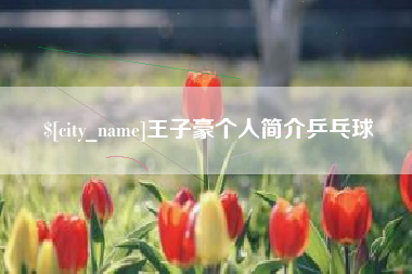 保亭王子豪个人简介乒乓球