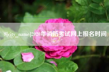 保亭2020年消防考试网上报名时间