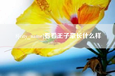 保亭看看王子豪长什么样