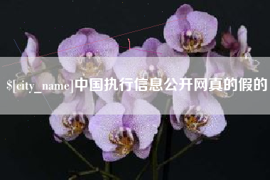 保亭中国执行信息公开网真的假的