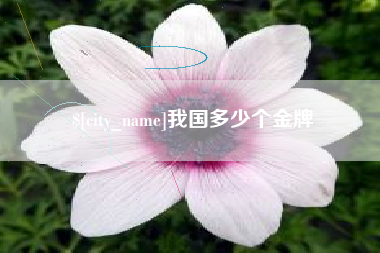 保亭我国多少个金牌