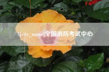 保亭全国消防考试中心