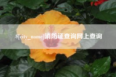 保亭消防证查询网上查询