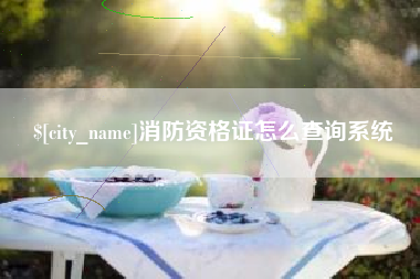保亭消防资格证怎么查询系统