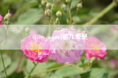 保亭第九金是