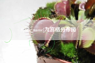 保亭九宫格分布图