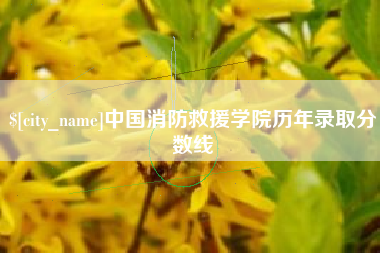 保亭中国消防救援学院历年录取分数线