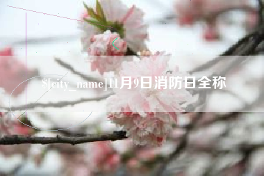 保亭11月9日消防日全称