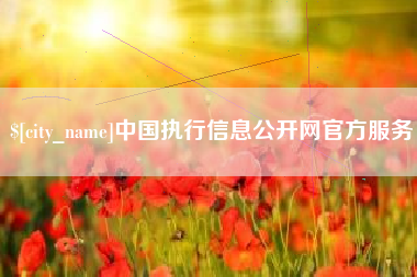 保亭中国执行信息公开网官方服务