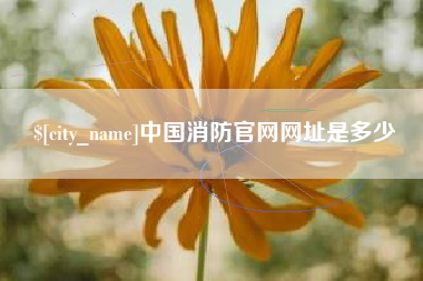 保亭中国消防官网网址是多少